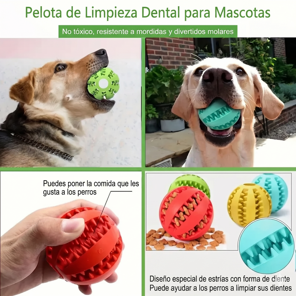 Pelota Interactiva para Perros — Juguete Dental de Goma con Dispensador de Premios