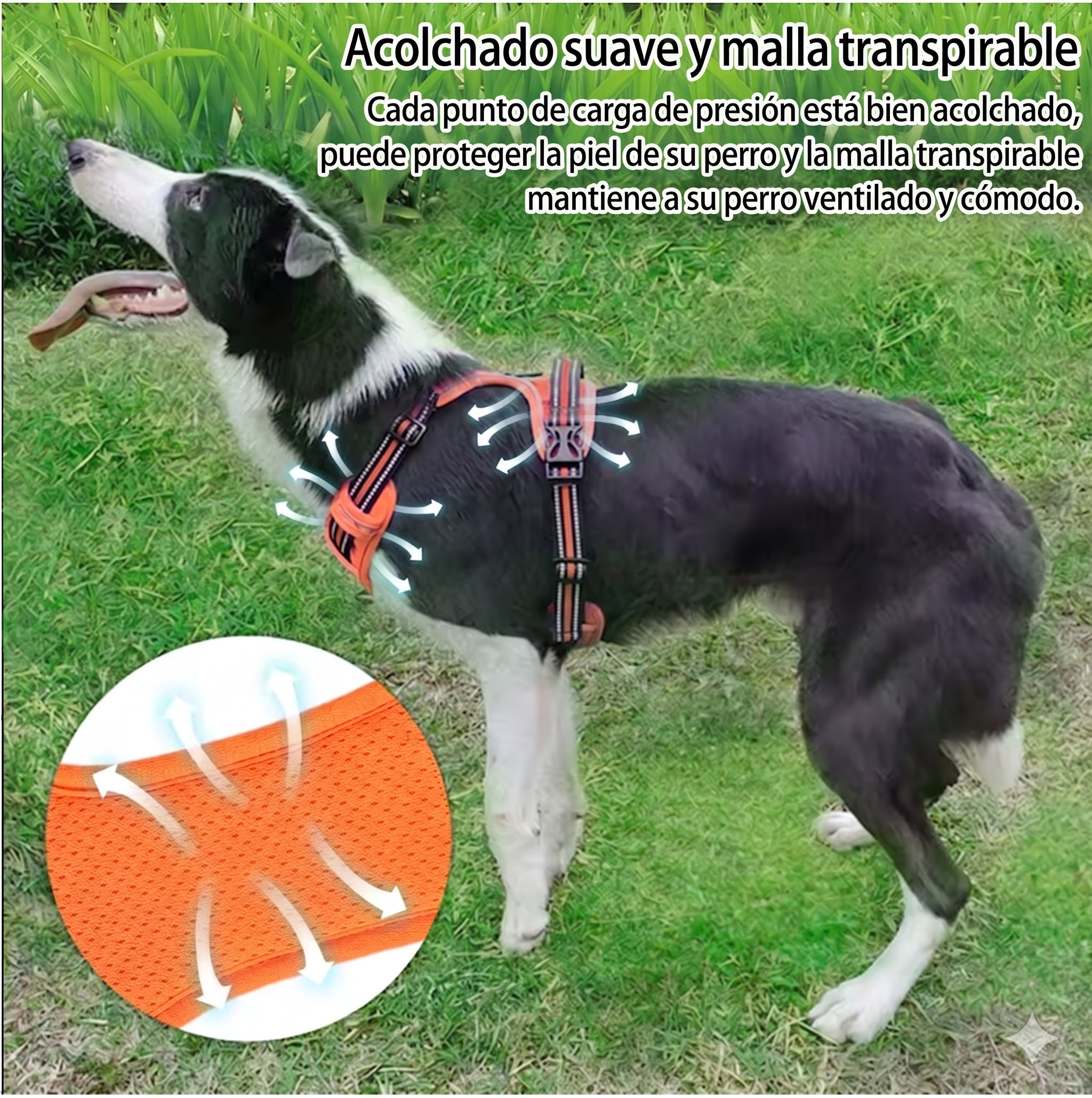 Arnés Antitirones para Perros — Reflectante y Ajustable