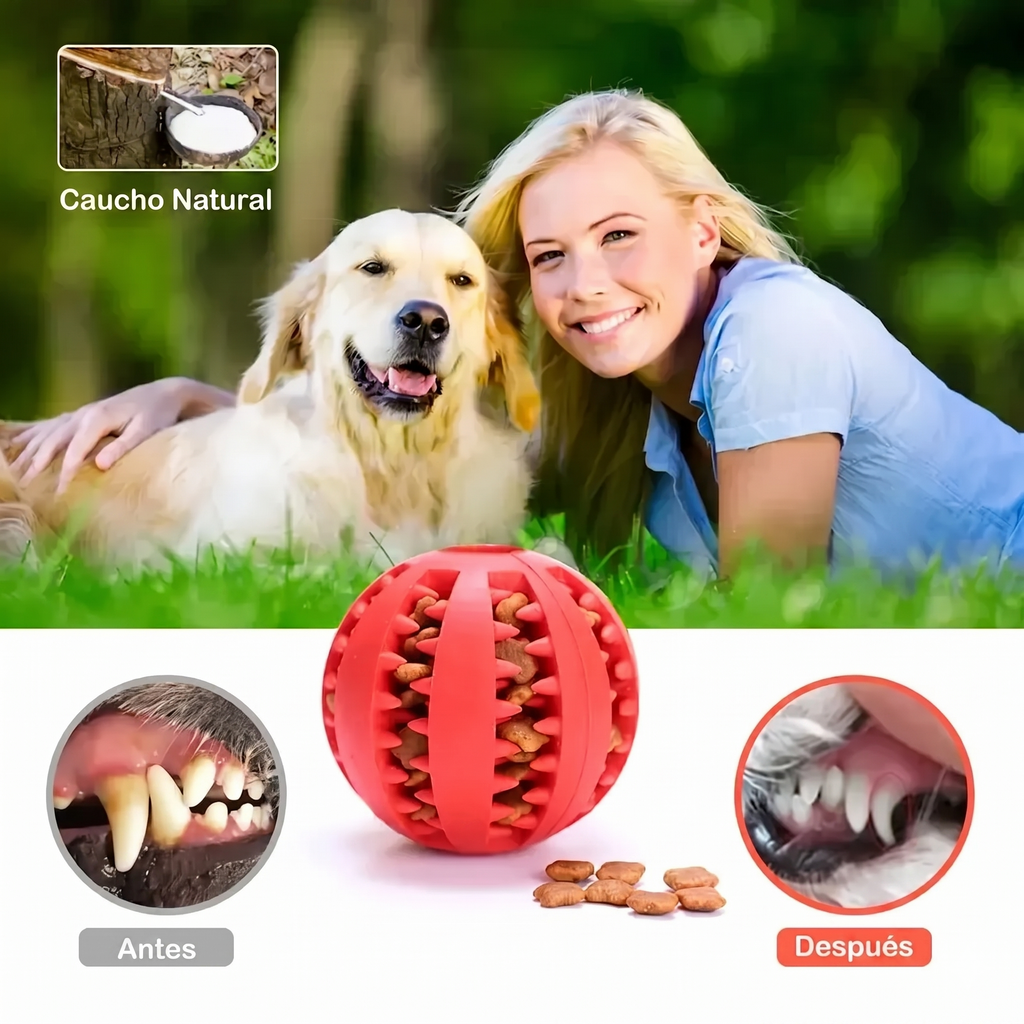 Pelota Interactiva para Perros — Juguete Dental de Goma con Dispensador de Premios