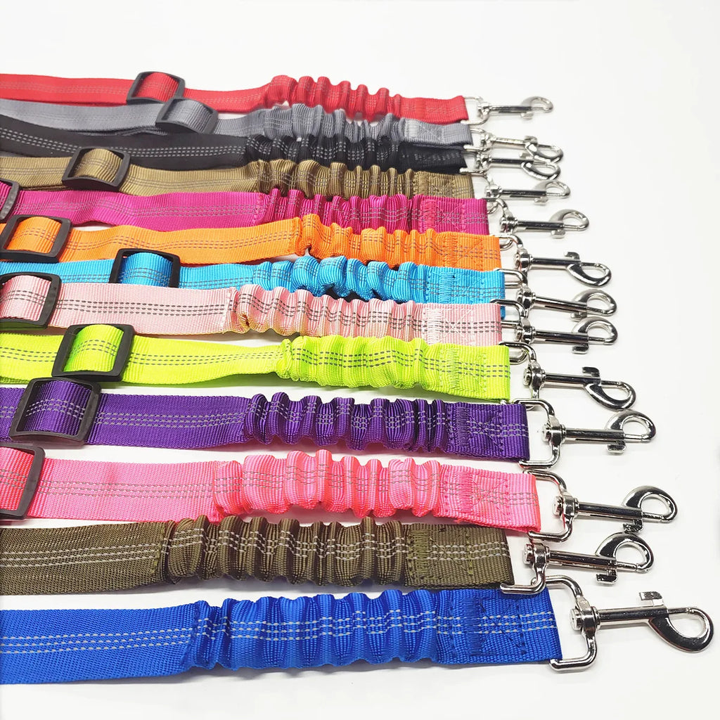 Cinturón de Seguridad para Perros — Ajustable y Homologado