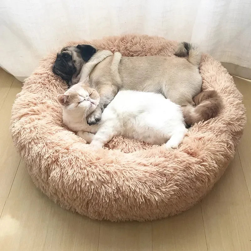 Cama Donut para Perros — Ortopédica y Ultrasuave