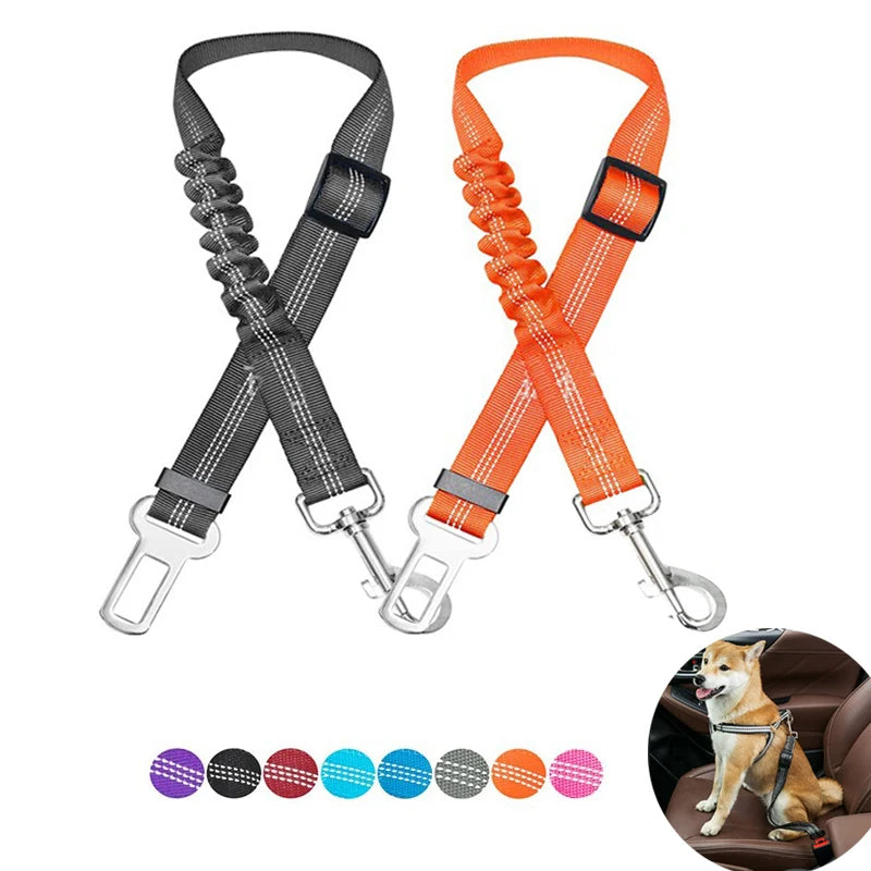Cinturón de Seguridad para Perros — Ajustable y Homologado