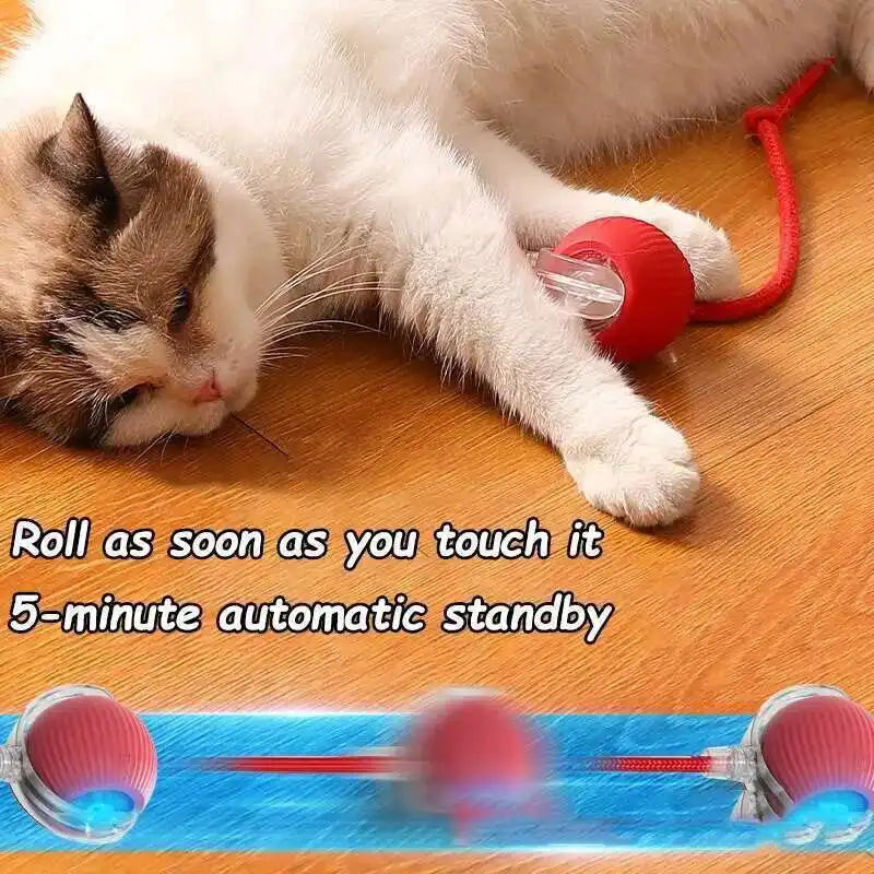 Pelota Interactiva Automática para Perros — Juguete Eléctrico Recargable