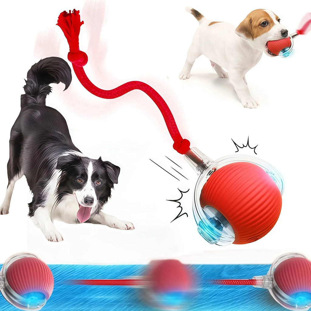 Pelota Interactiva Automática para Perros — Juguete Eléctrico Recargable